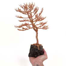 Load image into Gallery viewer, Lofty