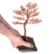 Load image into Gallery viewer, Lofty