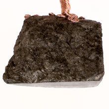 Load image into Gallery viewer, Lofty