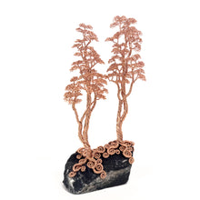 Load image into Gallery viewer, Ally