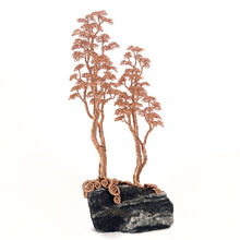 Load image into Gallery viewer, Ally