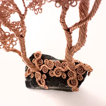 Load image into Gallery viewer, Ally