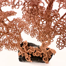 Load image into Gallery viewer, Ally