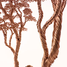 Load image into Gallery viewer, Ally