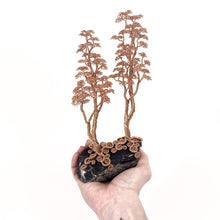 Load image into Gallery viewer, Ally