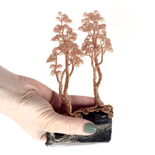 Load image into Gallery viewer, Ally