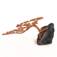 Load image into Gallery viewer, Savvy