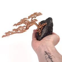 Load image into Gallery viewer, Savvy