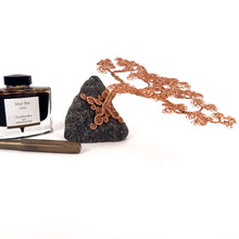 Load image into Gallery viewer, Savvy