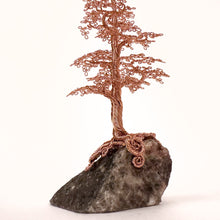 Load image into Gallery viewer, Adamant