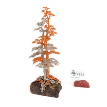 Load image into Gallery viewer, Polarity