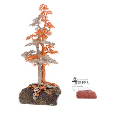 Load image into Gallery viewer, Polarity