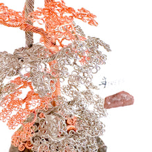 Load image into Gallery viewer, Polarity