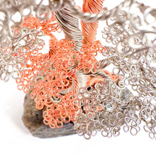 Load image into Gallery viewer, Polarity