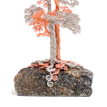 Load image into Gallery viewer, Polarity