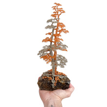 Load image into Gallery viewer, Polarity