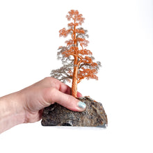 Load image into Gallery viewer, Polarity