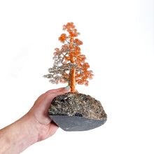 Load image into Gallery viewer, Polarity