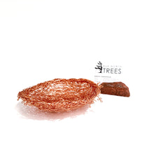 Load image into Gallery viewer, Nest