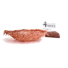 Load image into Gallery viewer, Nest