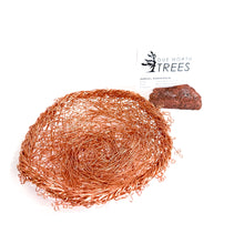 Load image into Gallery viewer, Nest