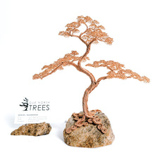 Load image into Gallery viewer, Solo