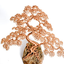 Load image into Gallery viewer, Solo