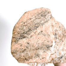 Load image into Gallery viewer, Solo