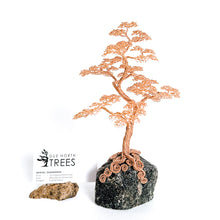 Load image into Gallery viewer, Assured