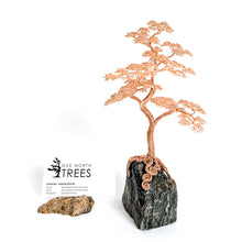 Load image into Gallery viewer, Assured