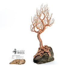 Load image into Gallery viewer, Second Frost