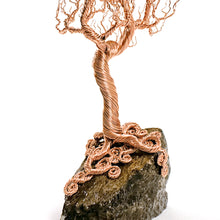 Load image into Gallery viewer, Second Frost