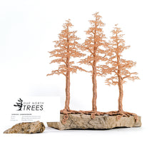 Load image into Gallery viewer, Commune