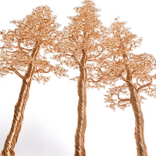 Load image into Gallery viewer, Commune