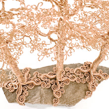 Load image into Gallery viewer, Commune