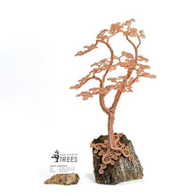 Load image into Gallery viewer, Northern Bound