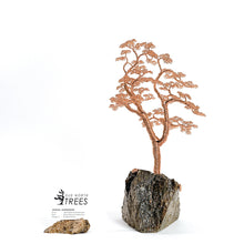 Load image into Gallery viewer, Northern Bound