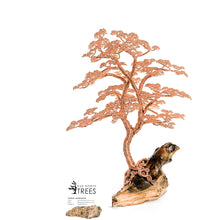 Load image into Gallery viewer, Limberlost