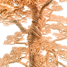 Load image into Gallery viewer, A Walk With Giants