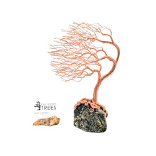 Load image into Gallery viewer, Frolic