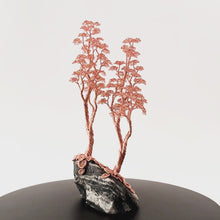 Load and play video in Gallery viewer, Ally