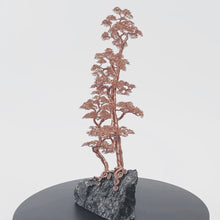 Load and play video in Gallery viewer, Maternal IV