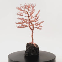 Load and play video in Gallery viewer, Lofty