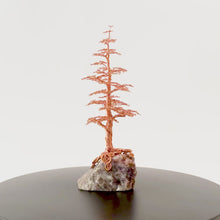 Load and play video in Gallery viewer, Adamant