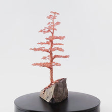 Load and play video in Gallery viewer, Flexed