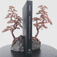 Load and play video in Gallery viewer, Counter Point