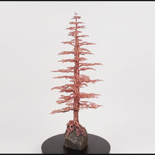 Load and play video in Gallery viewer, Seen From Afar