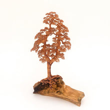 Load image into Gallery viewer, Stolid