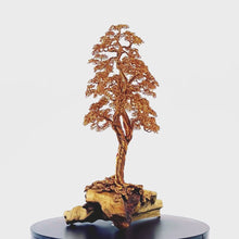 Load and play video in Gallery viewer, Stolid