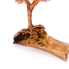 Load image into Gallery viewer, Stolid